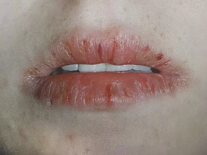 Новая статья  